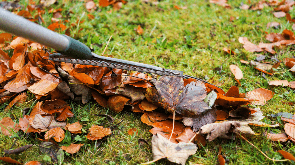 Your Complete Fall Exterior Clean-Up List