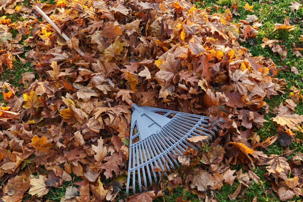 Working on your home's exterior in the fall.