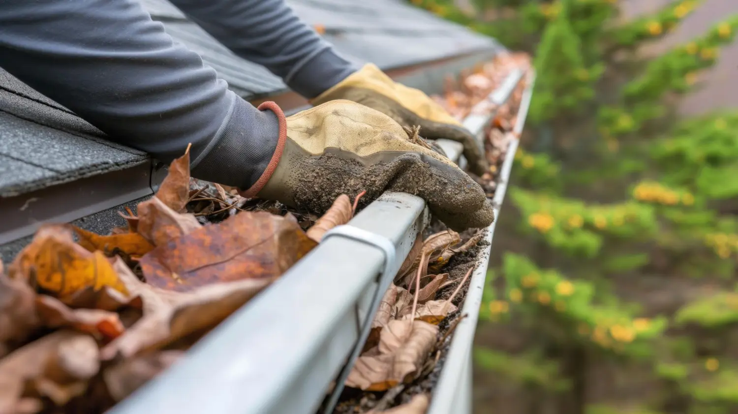 Cleaning Gutter